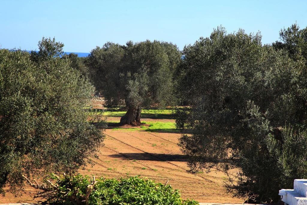 Masseria Pittore Savelletri Luaran gambar